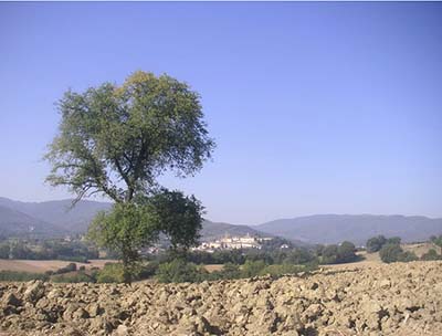 Sanfrancesco2